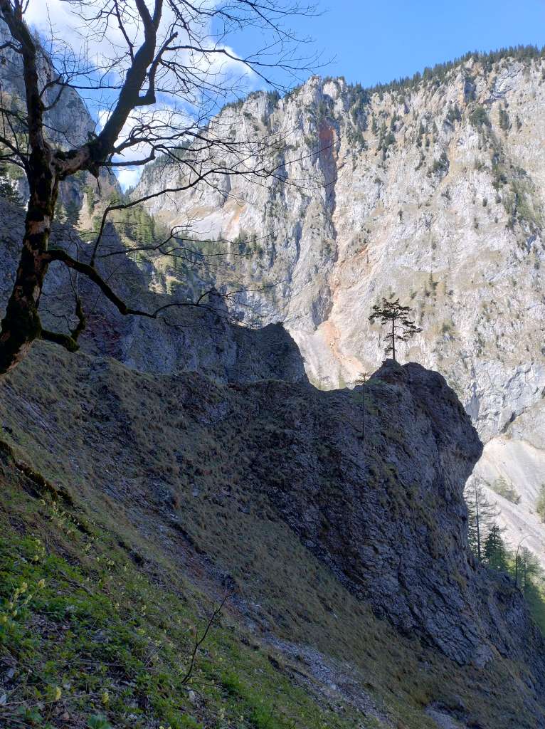 IMG_20250501_104732495_HDR.jpg