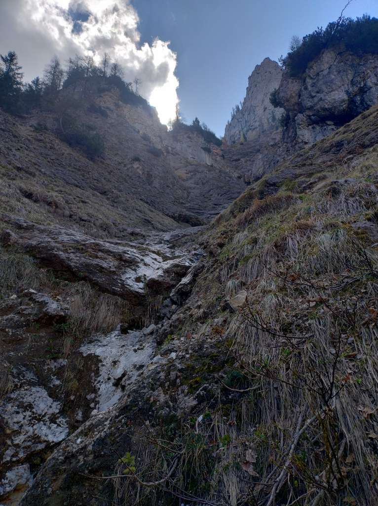 IMG_20250501_110956597_HDR.jpg