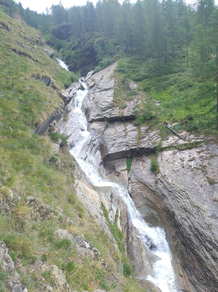 IMG_20250706_122922897_HDR.jpg