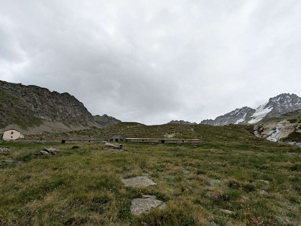 PXL_20250706_113316239.jpg