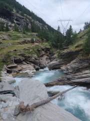 IMG_20250706_120504450.jpg