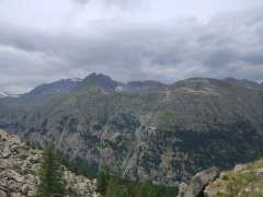 IMG_20250706_131832425.jpg