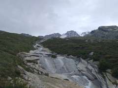 IMG_20250706_132944856.jpg
