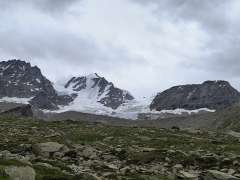 IMG_20250706_142956983.jpg