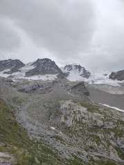 IMG_20250706_143223675.jpg