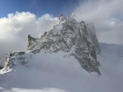IMG_1445.jpg