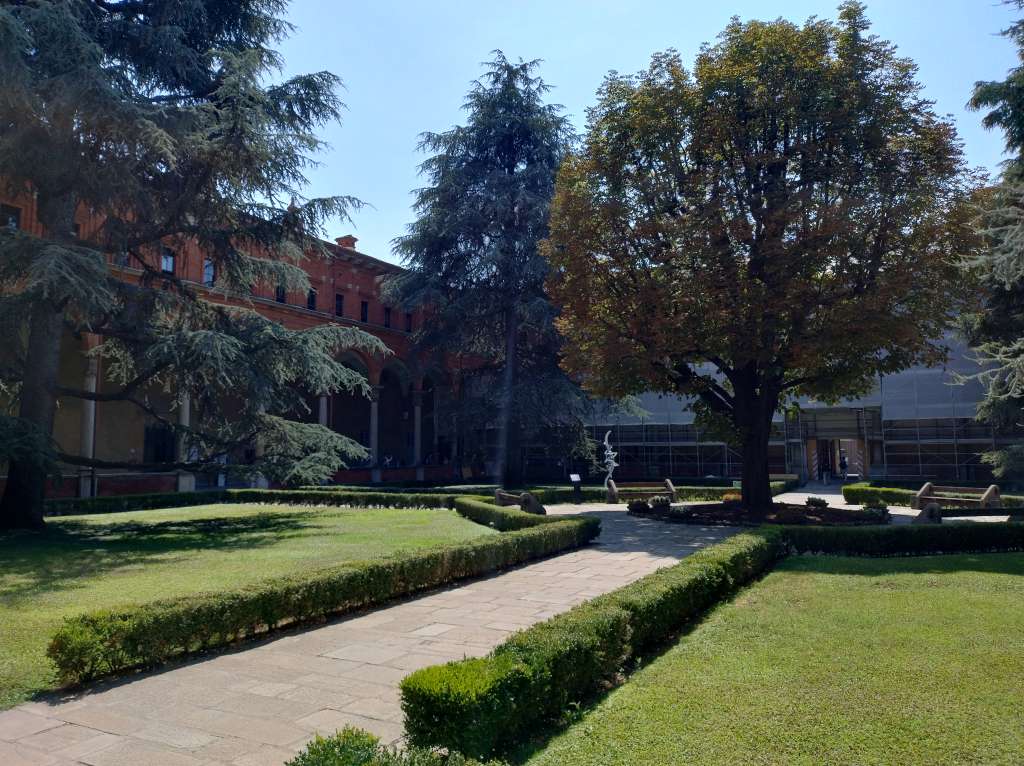 IMG_20250712_144014635_HDR.jpg