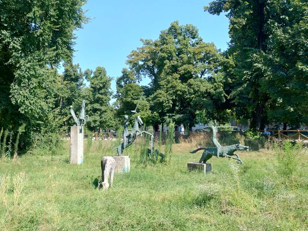 IMG_20250712_163234812_HDR.jpg