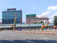IMG_20250712_134349176.jpg