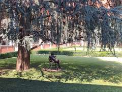 IMG_20250712_144324564.jpg
