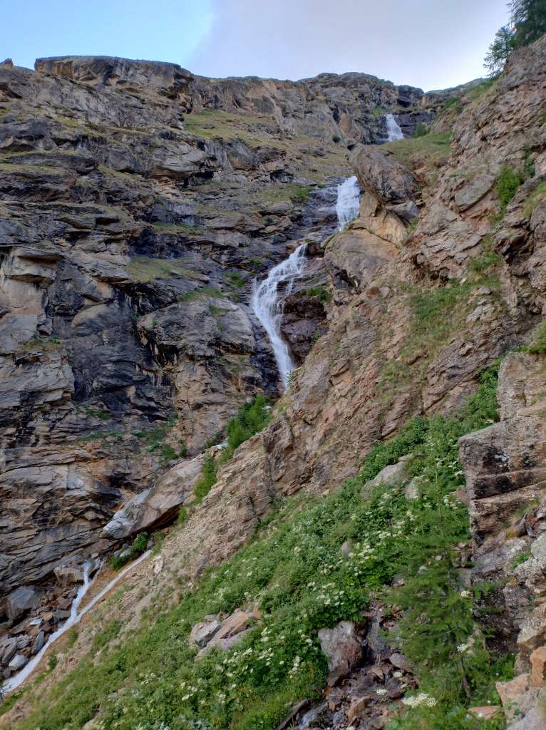 IMG_20250708_080106301_HDR.jpg