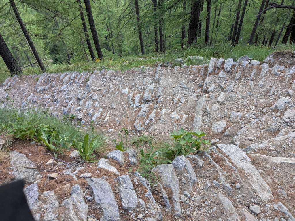 PXL_20250708_061121434.jpg