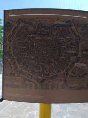 IMG_20250712_112954369.jpg