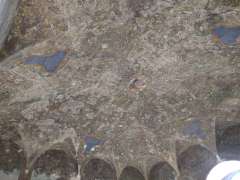 IMG_20250712_124303891.jpg