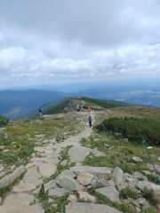 IMG_20250801_122456482.jpg