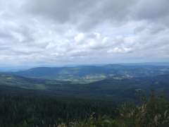 IMG_20250801_132154648.jpg