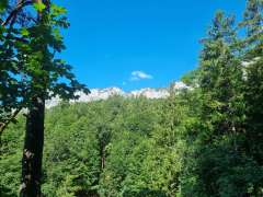 20260625_093803.jpg