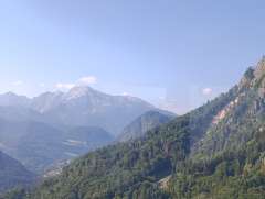 IMG_20260625_083359.jpg