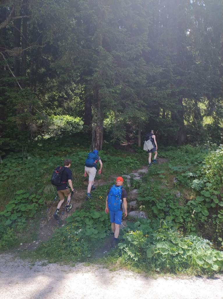 IMG_20260622_125555139_HDR.jpg
