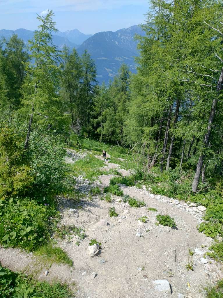 IMG_20260622_141745354_HDR.jpg