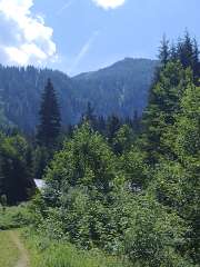 IMG_20260622_121923212.jpg