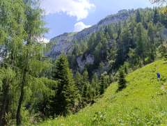 IMG_20260622_140439.jpg