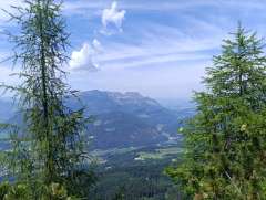 IMG_20260622_141203.jpg