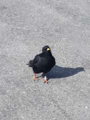 IMG_20260622_165205.jpg