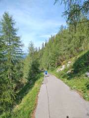 IMG_20260622_171422181.jpg