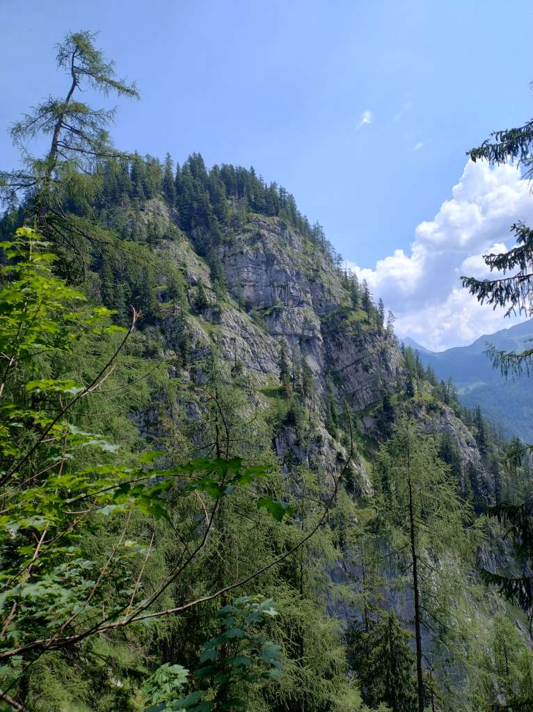 IMG_20260623_114838415_HDR.jpg