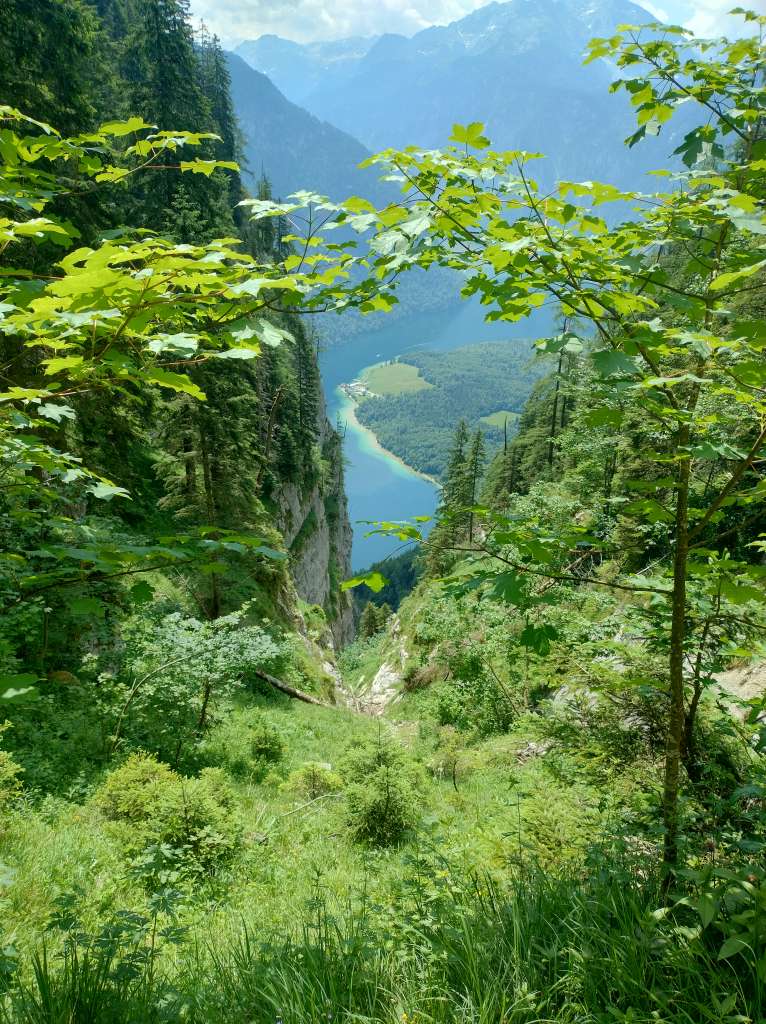 IMG_20260623_120136457_HDR.jpg