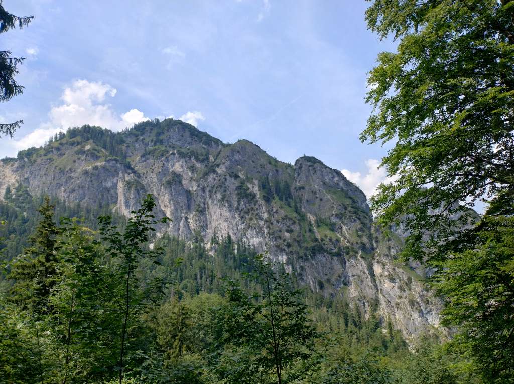 IMG_20260623_150639249_HDR.jpg
