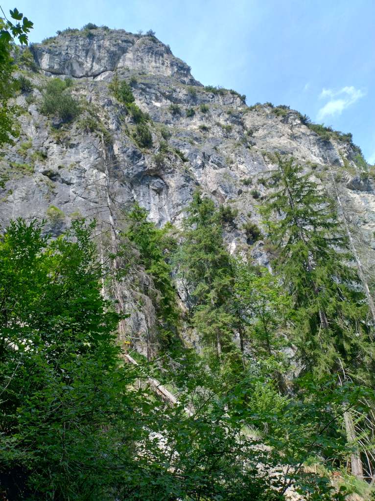 IMG_20260623_152022459_HDR.jpg