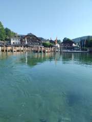 IMG_20260623_082334551.jpg