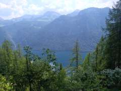 IMG_20260623_110419.jpg
