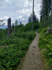 IMG_20260623_141645599_HDR.jpg