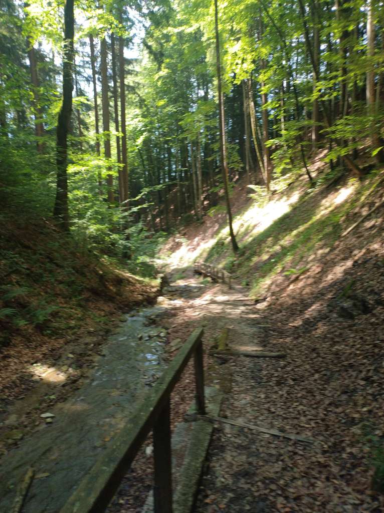 IMG_20260624_111416422_HDR.jpg