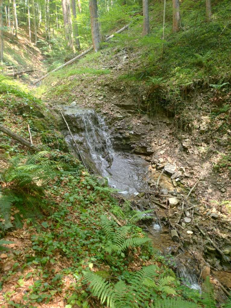 IMG_20260624_111540708_HDR.jpg