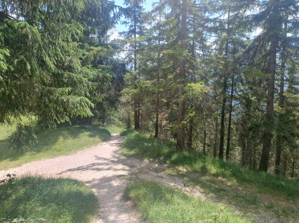IMG_20260624_130440717_HDR.jpg