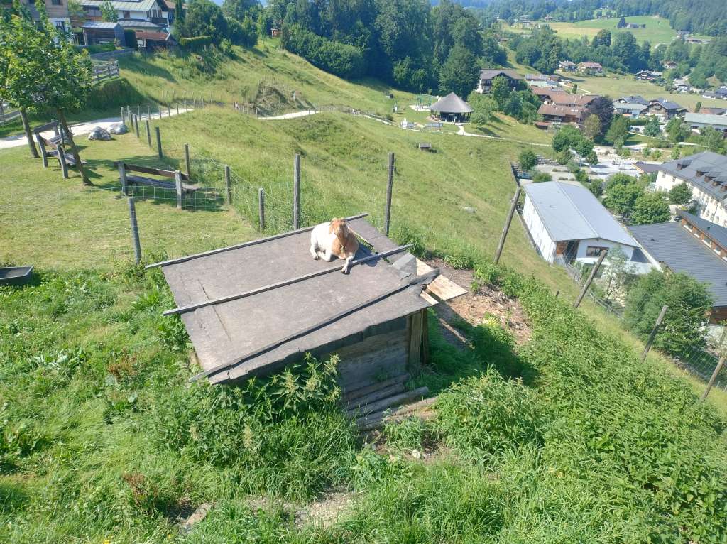 IMG_20260624_161322584_HDR.jpg