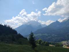 IMG_20260624_112755276.jpg