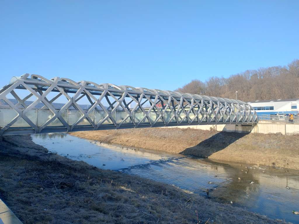 IMG_20250210_091225708_HDR.jpg