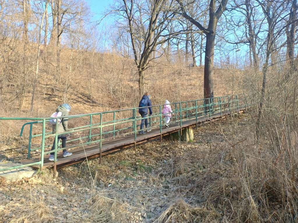 IMG_20250210_091737445_HDR.jpg