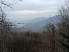 IMG_20250213_130421.jpg