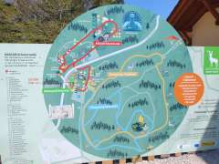 IMG_20250502_114430206.jpg