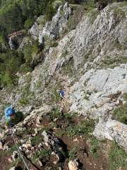 IMG_5775.jpg
