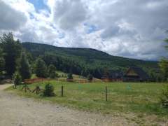 IMG_20250731_120446776.jpg