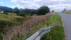 IMG_20250817_175238.jpg