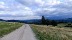 IMG_20250817_181130.jpg