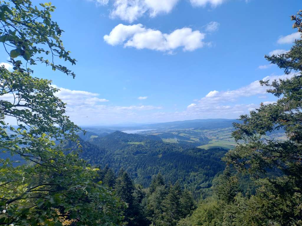 IMG_20250819_142154846_HDR.jpg